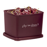 Pote hermético Jeitoso Tupperware Aqui tem Abraços 800Ml Vinho