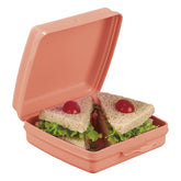 Porta Sanduíche Infantil Tupperware Rosa
