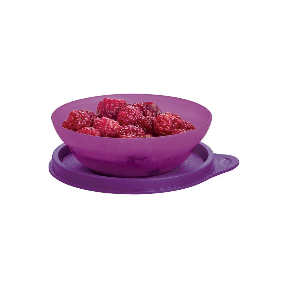 Tigela Tupperware Tupper Pragelinha 150ml Ametista