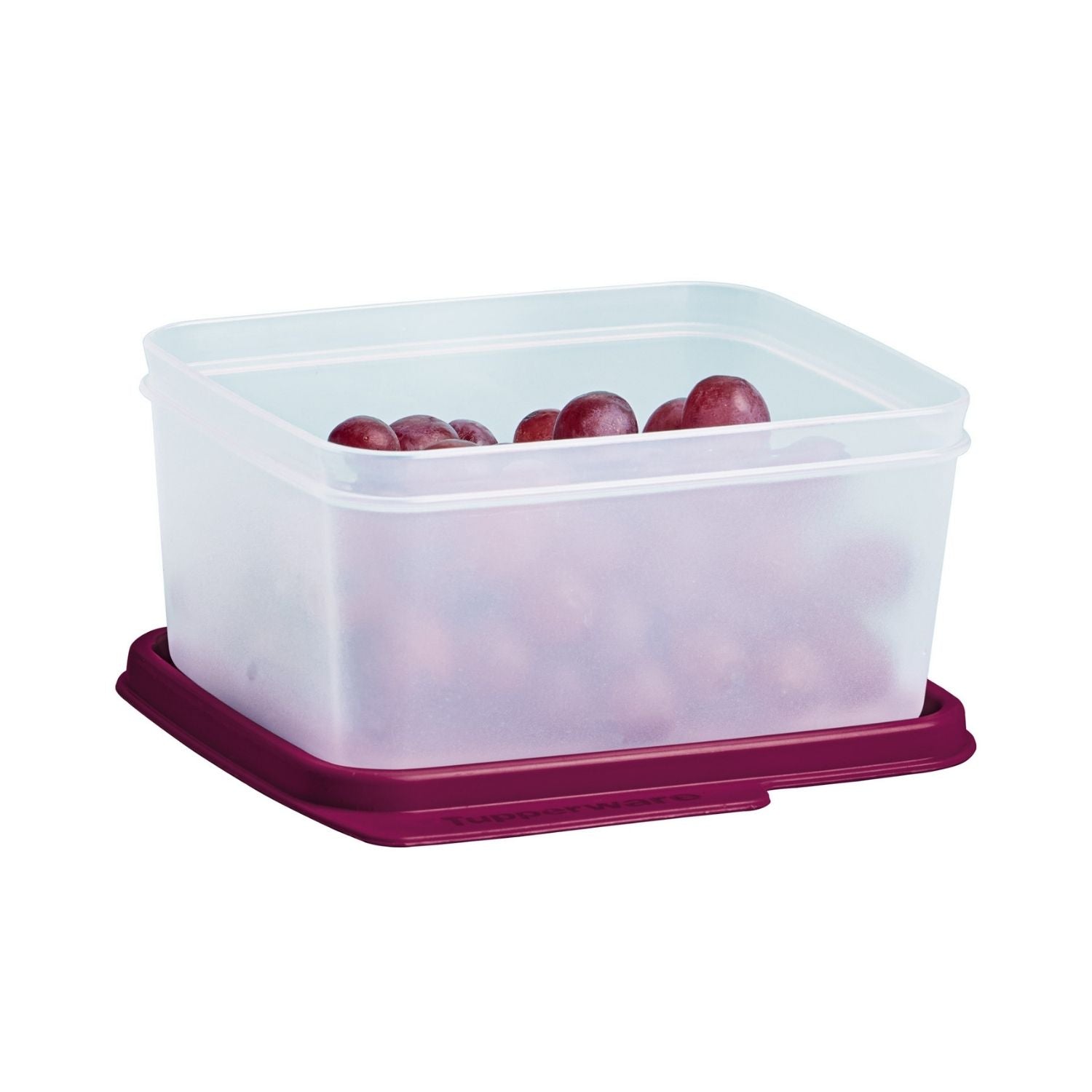 Pote Hermético Tupperware Basic Line 500ml Marsala