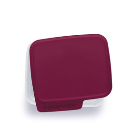 Pote Hermético Tupperware Basic Line 500ml Marsala