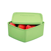 Pote Hermético Jeitosinho Tupperware 400ml Pistache